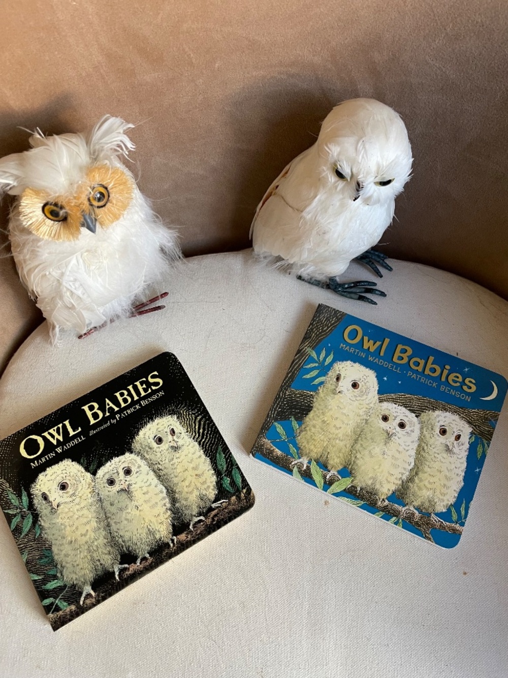 Owl Babies by Martin Waddell and Patrick Benson - Set of 2 Children's Books - Picture 8 of 8